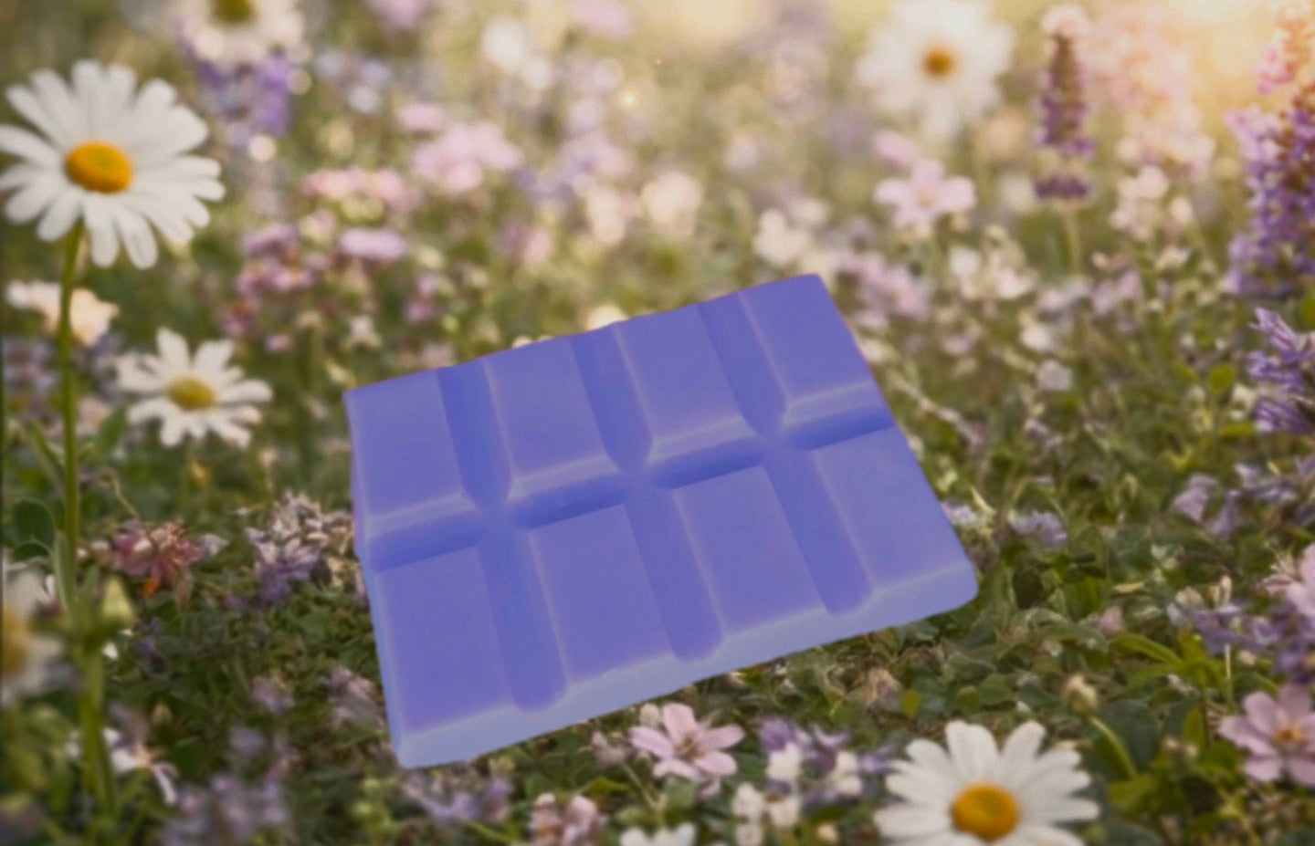 Enchanted Wildflowers